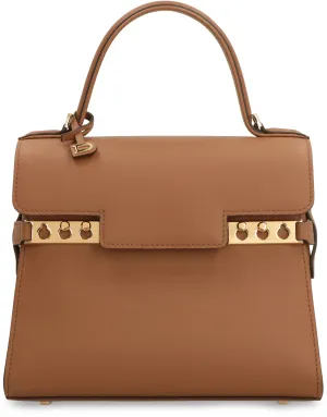 Delvaux Tempte PM Tote Bag